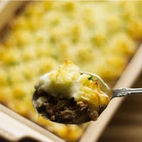 Spoonful of Guinness Shepherd's Pie showing meat and potato layers.